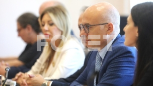 Majke u četvrtak kod Vučevića
